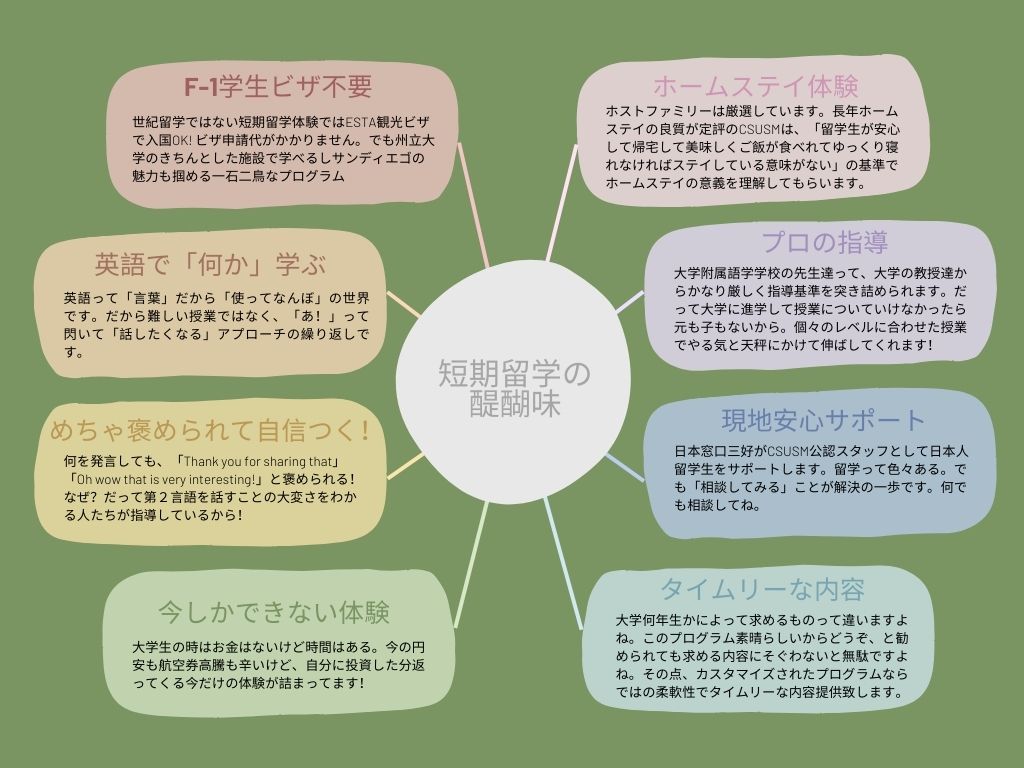 短期プログラムの醍醐味